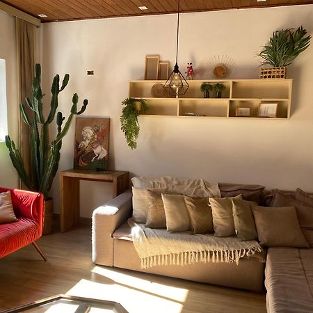 סאו פאולו Hostel Amor Por Sp Bras - Pari - Feira Da Madrugada - Expo Center Norte מראה חיצוני תמונה